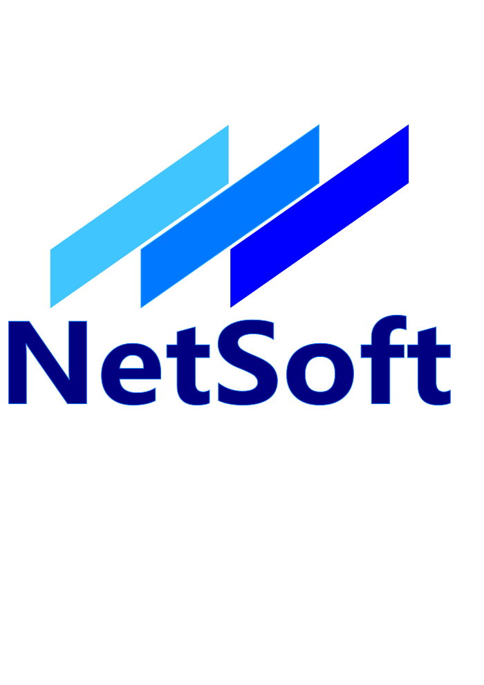 NetSoft logo